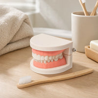Brushing Teeth Model Kids Dental Teaching Set shown on a real table surface
