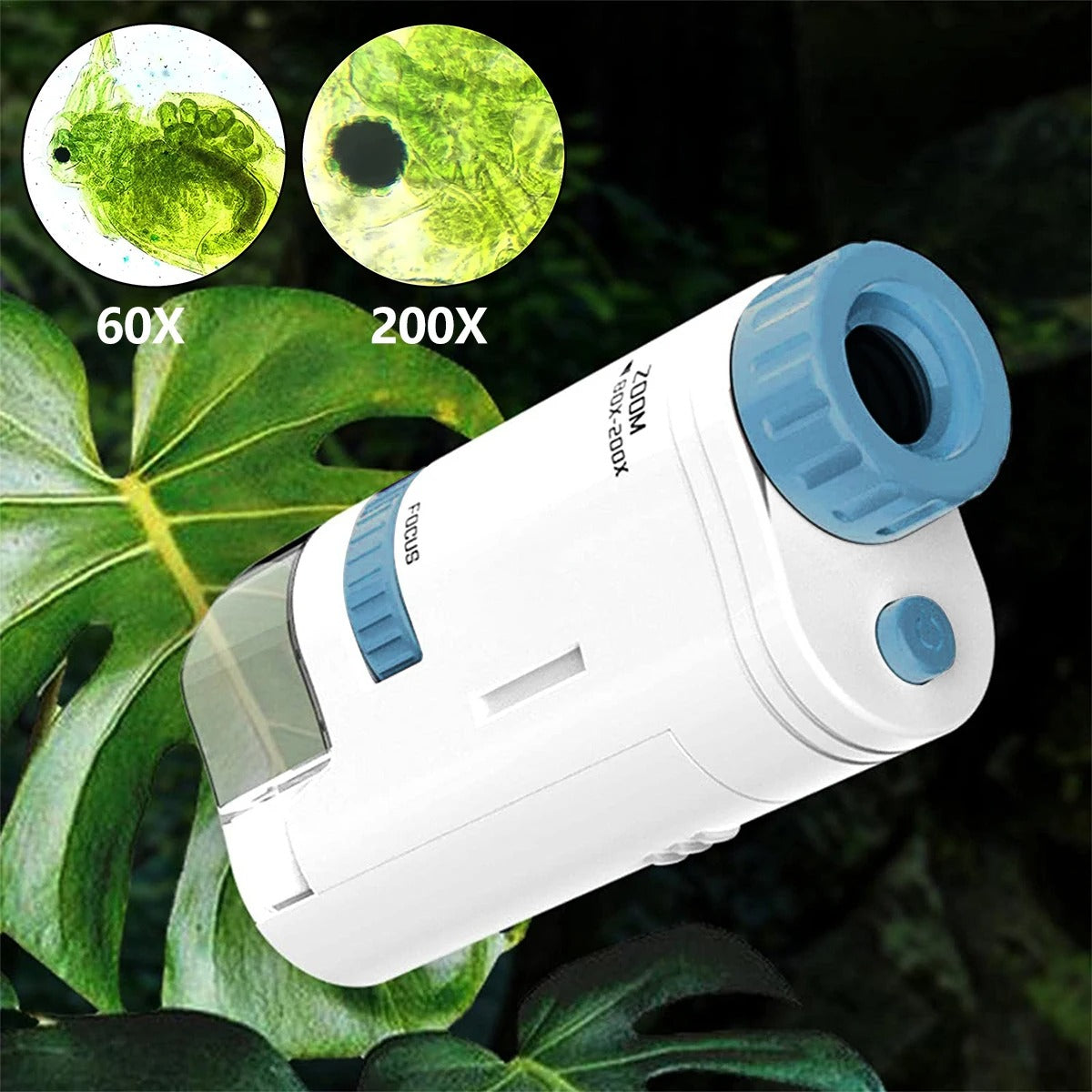 Microscope on a leaf with sample views at 60x and 200x
