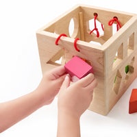 Child's hand feeding a pink block into the shape sorter cube