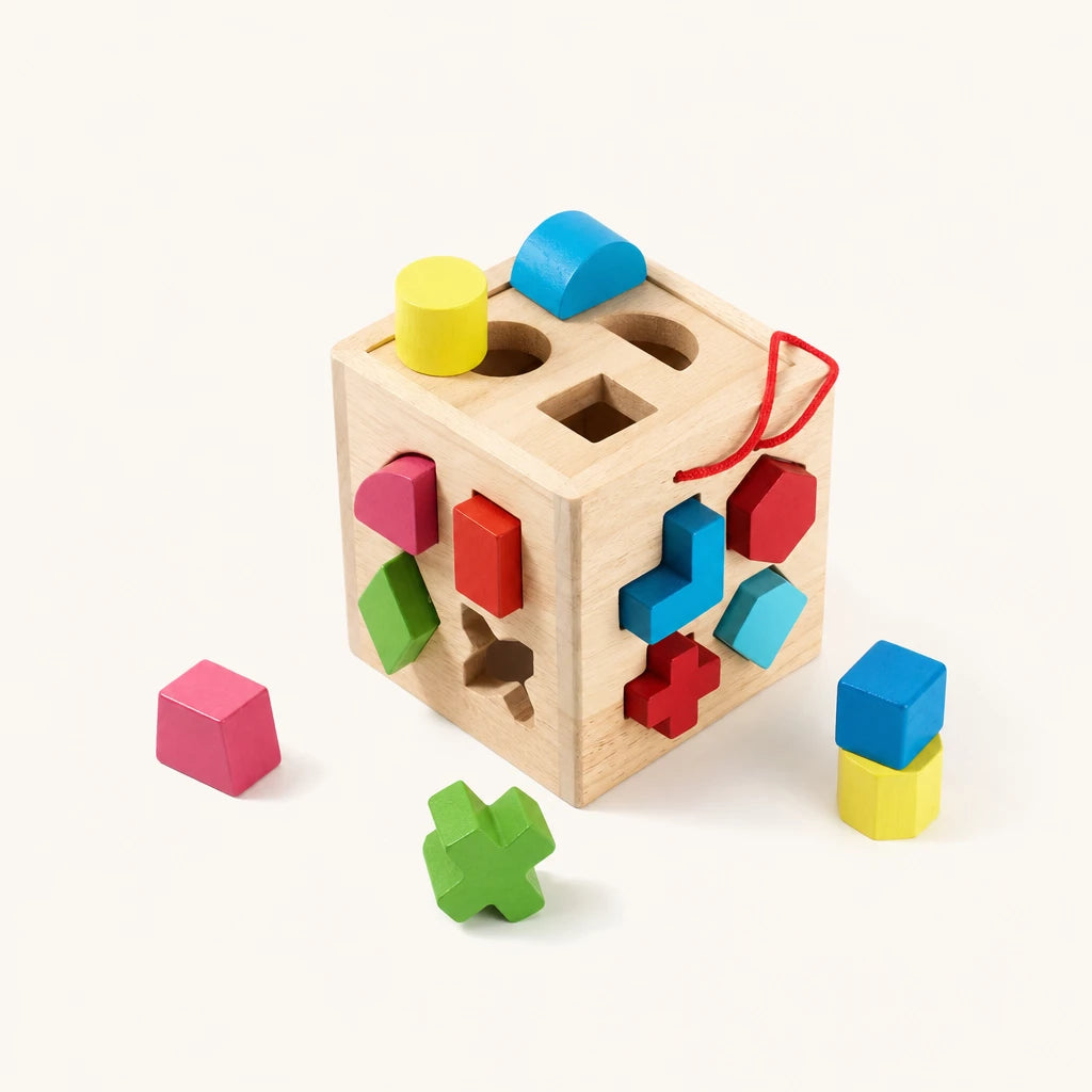 Shape Sorter Cube with Geometric Blocks shown complete on a plain background