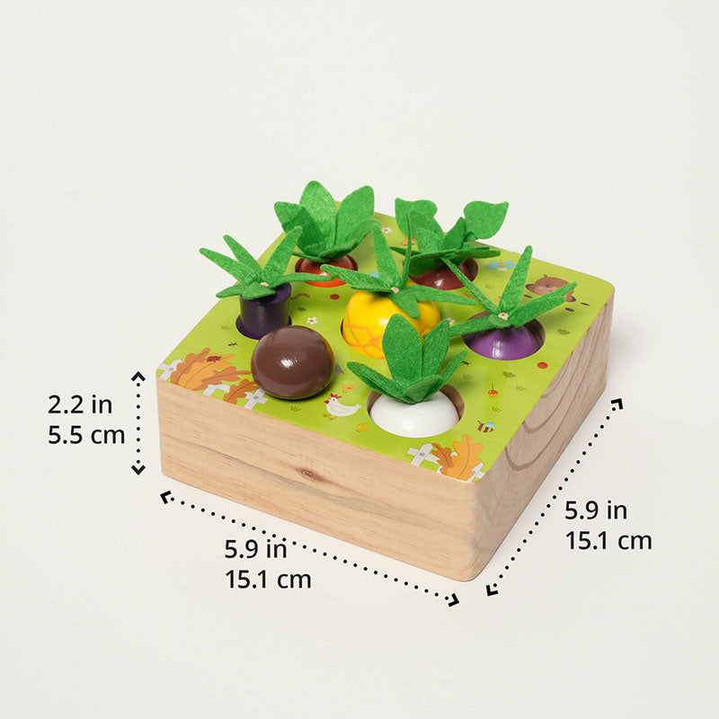 Vegetable sorter box with its felt-topped vegetables, shown with dimensions