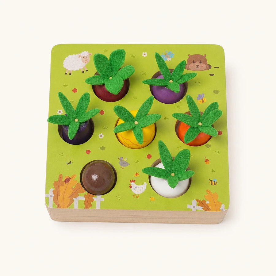 Vegetable Shape Sorter Wooden Garden Puzzle shown complete on a plain background