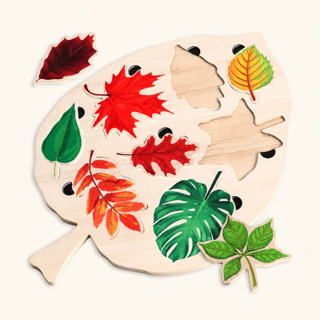 Wooden Leaf Puzzle Bird Shape with 8 Tree Species shown complete on a plain background